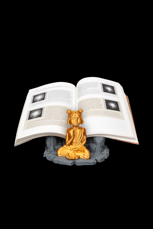 Accessoire de lecture