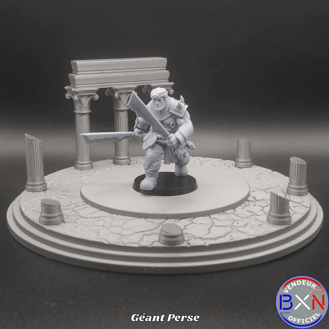 Les guerriers Perses : Pack 08 - Jeu de role - RPG - Miniature