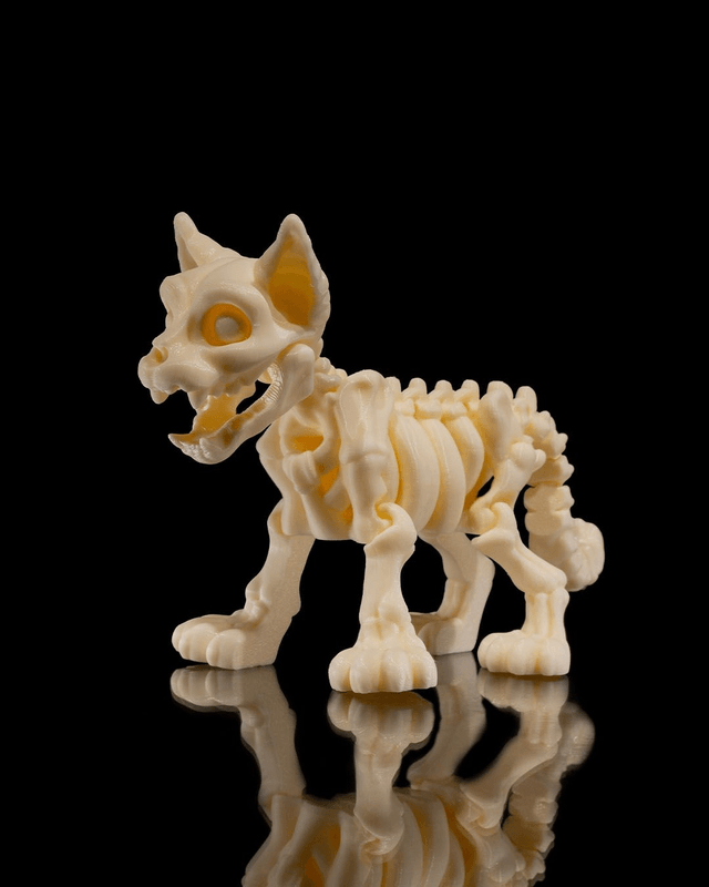 Animaux flexibles : Les petits squelettes (partie 2)