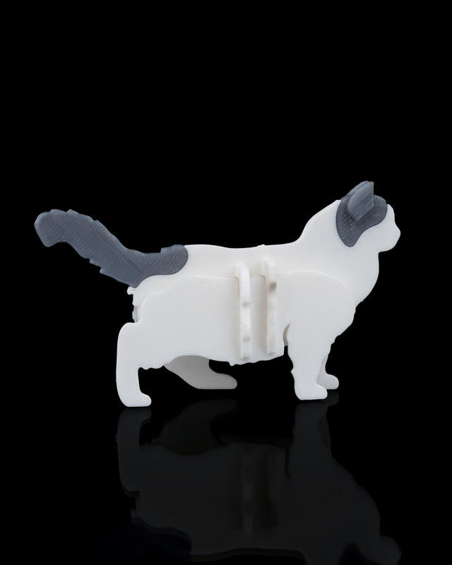 Maquettes : Animaux kit card (partie 1)