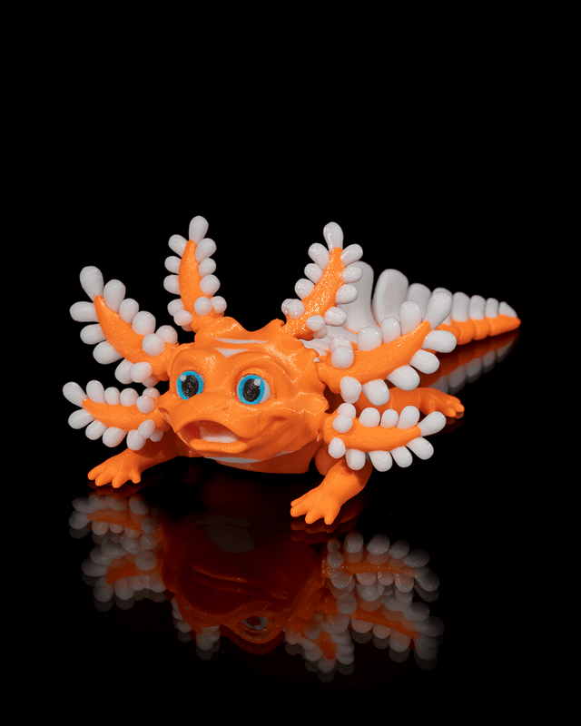 Esprit d'Axolotl (partie 2)