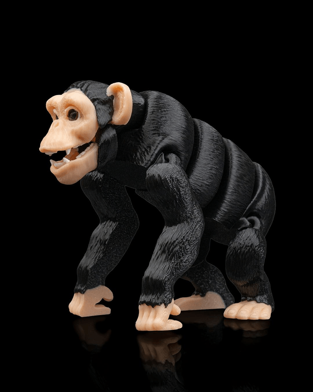 Animaux flexibles : Le petit safari