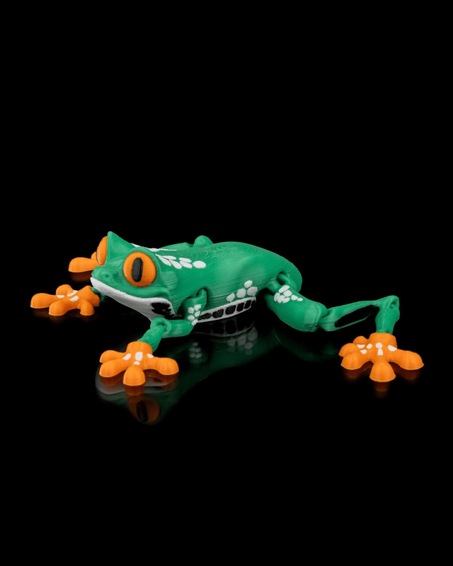 Animaux flexibles : Grenouilles amusantes