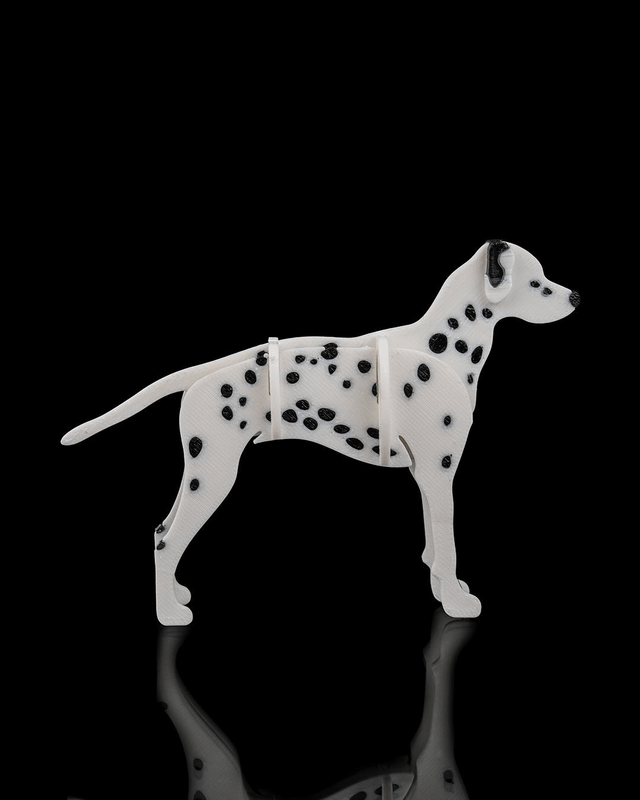Maquettes : Animaux kit card (partie 1)