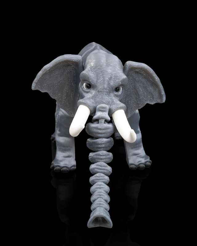 Animaux flexibles : Le petit safari