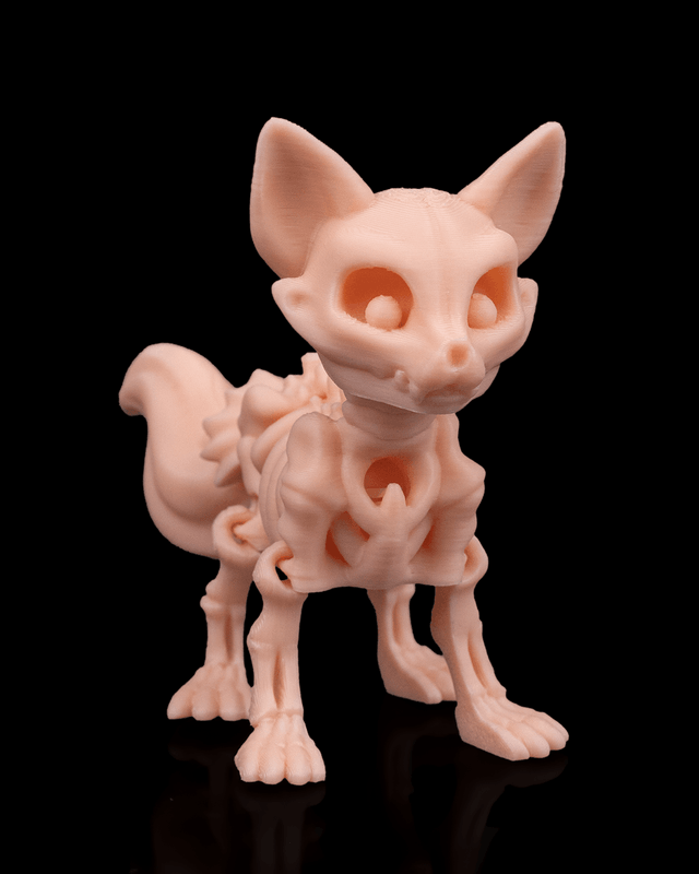 Animaux flexibles : Les petits squelettes (partie 1)