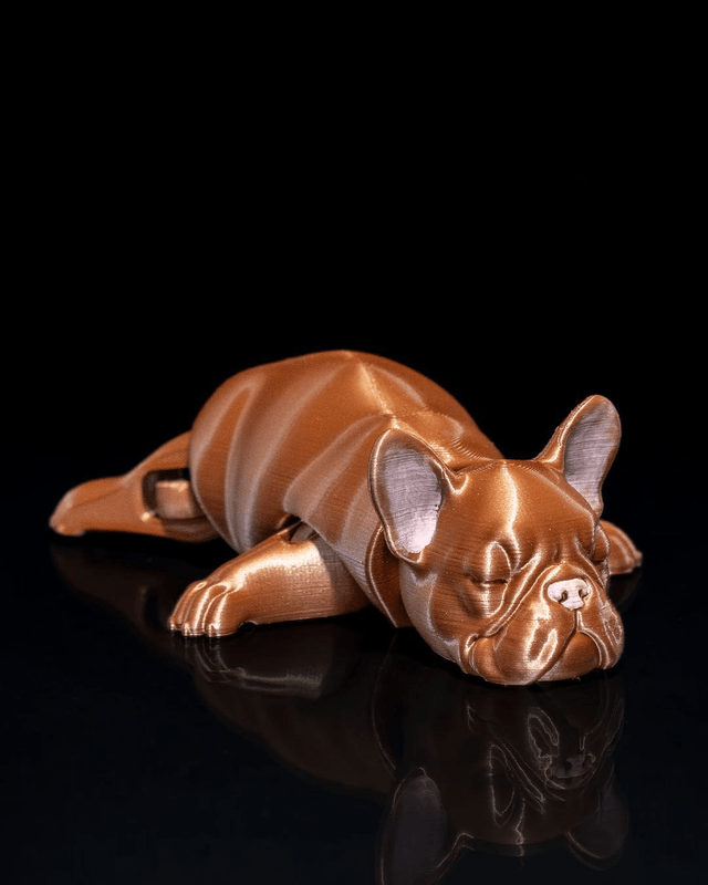 Animaux flexibles : Comme chien et chat