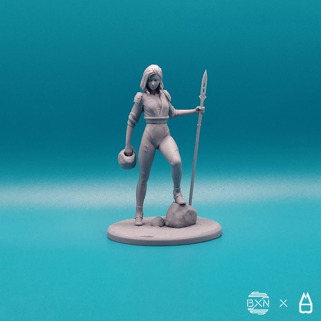 Szary - La valkyrie grise