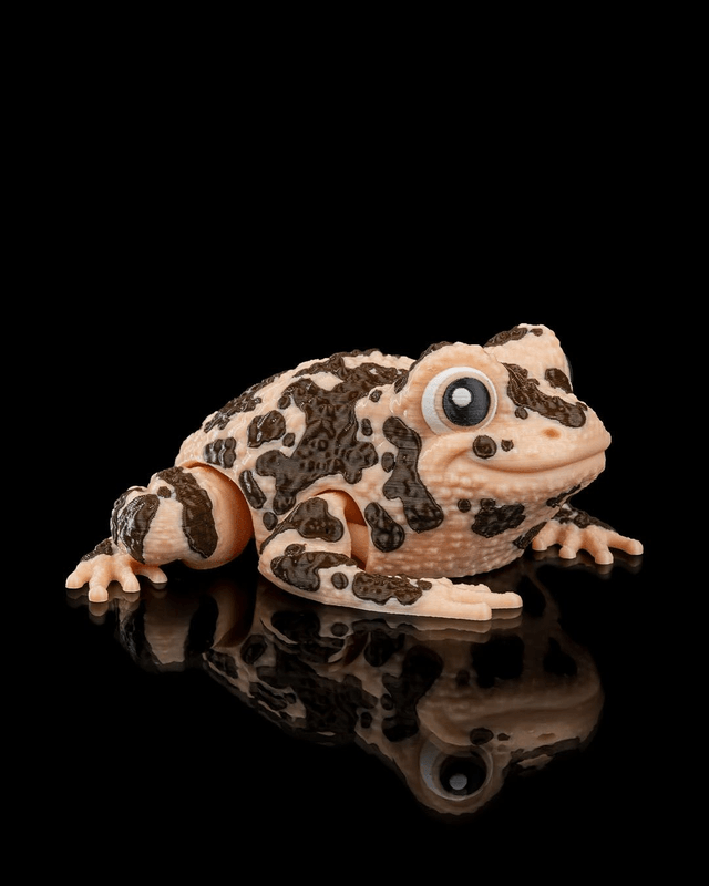 Animaux flexibles : Grenouilles amusantes