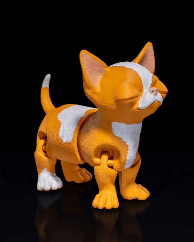 Animaux flexibles : Comme chien et chat