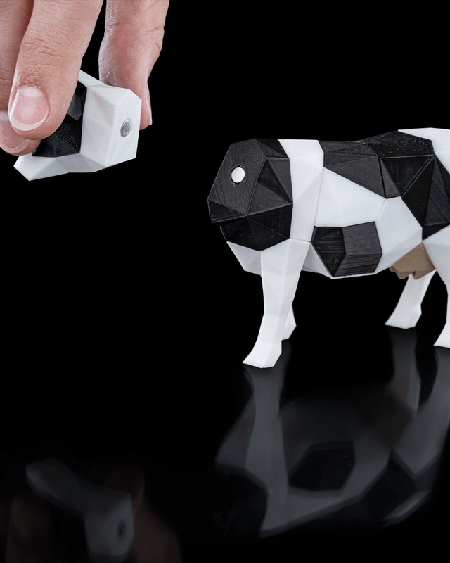 Animaux puzzle aimanté