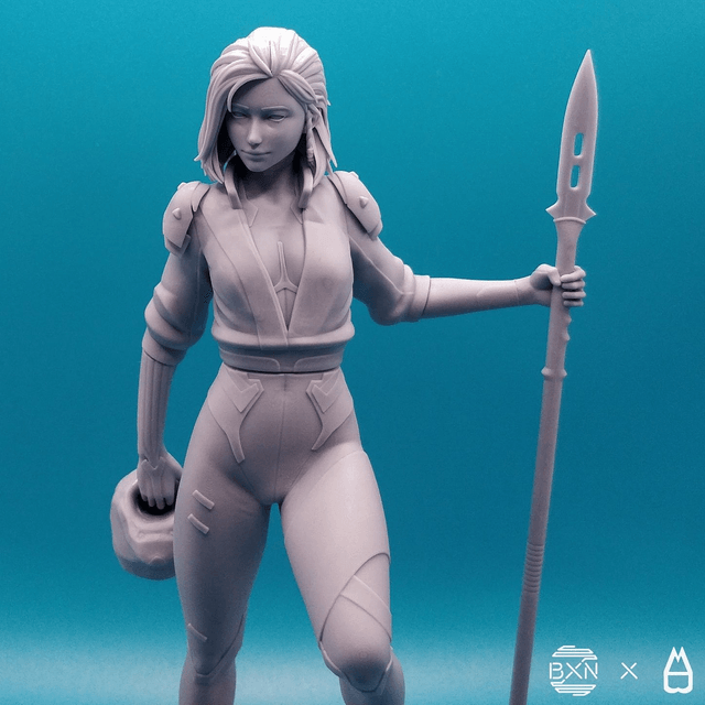 Szary - La valkyrie grise