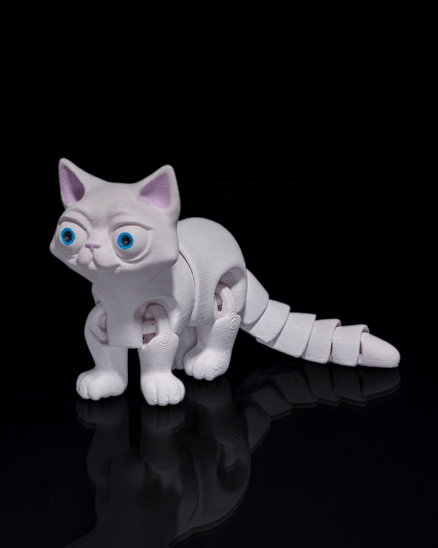 Animaux flexibles : Comme chien et chat