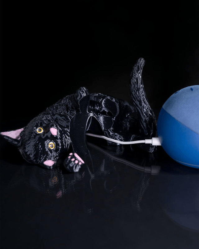 Support Echo Dot chat joueur