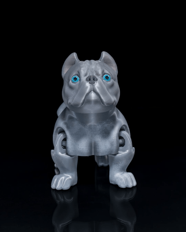 Animaux flexibles : Comme chien et chat