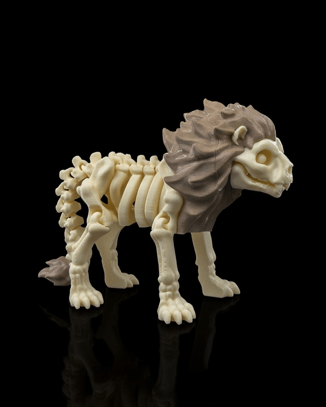 Animaux flexibles : Les petits squelettes (partie 3)