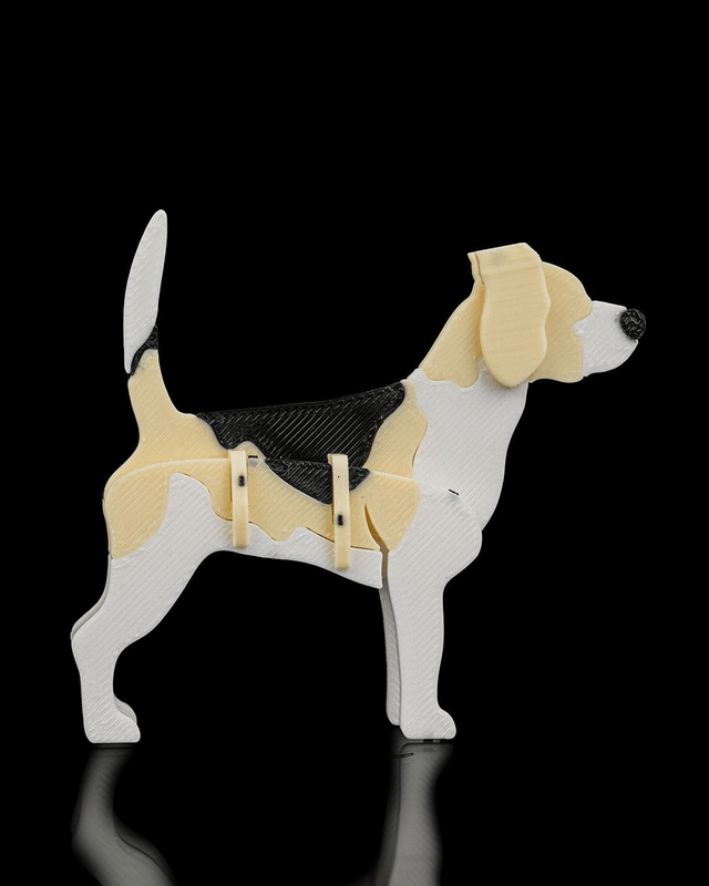 Maquettes : Animaux kit card (partie 1)