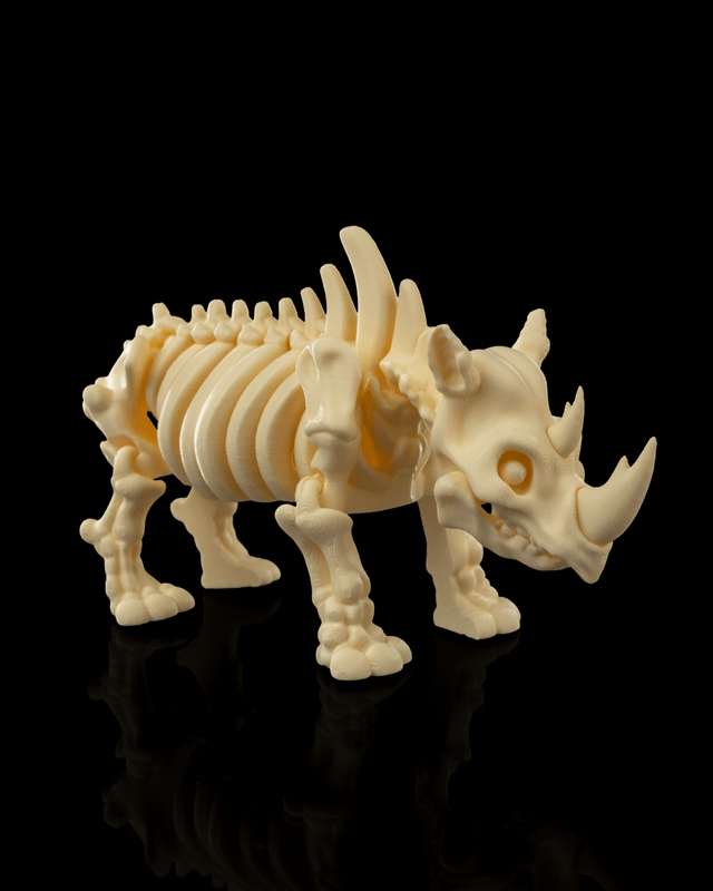 Animaux flexibles : Les petits squelettes (partie 3)