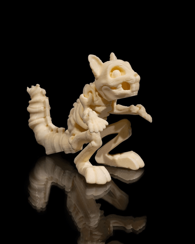 Animaux flexibles : Les petits squelettes (partie 2)