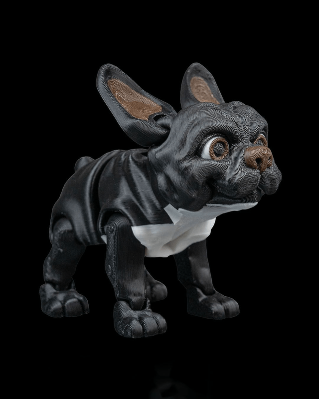 Animaux flexibles : Les petits chiens (Partie 1)