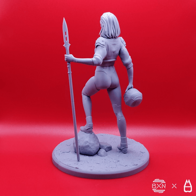 Szary - La valkyrie grise