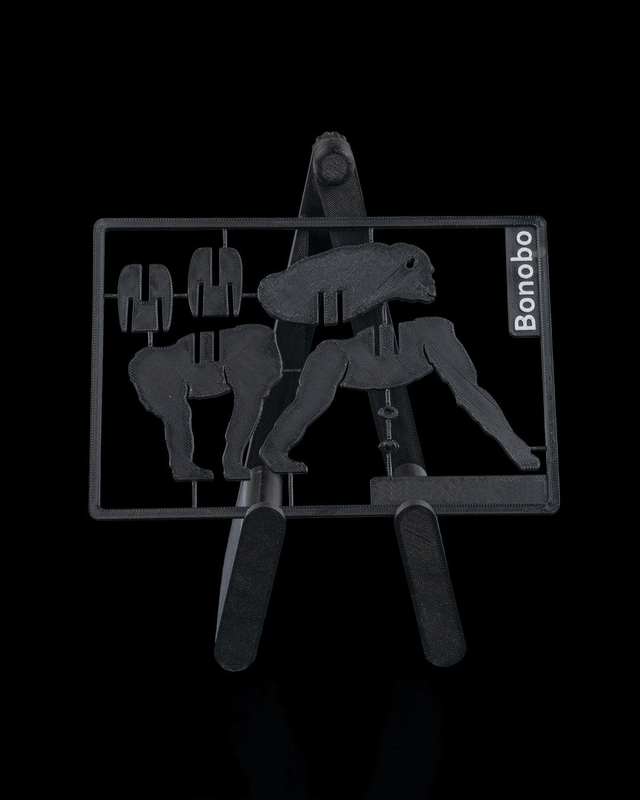 Maquettes : Animaux kit card (partie 2)