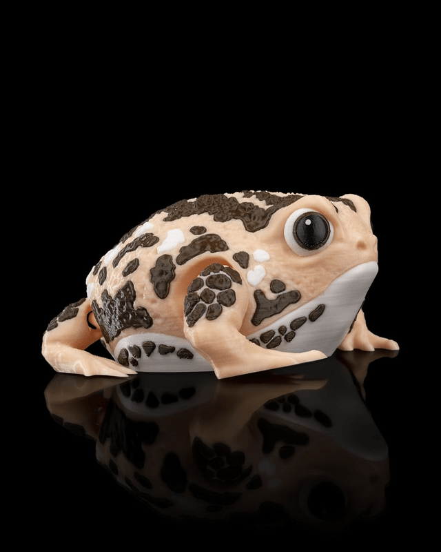 Animaux flexibles : Grenouilles amusantes