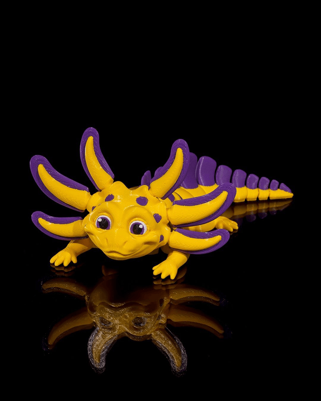 Esprit d'Axolotl (partie 2)