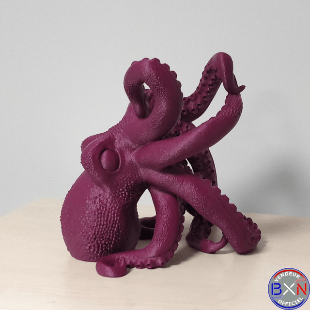 Support bouteille de vin : Octopus