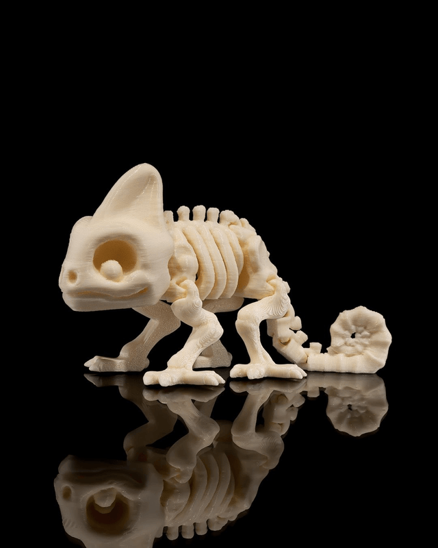 Animaux flexibles : Les petits squelettes (partie 2)