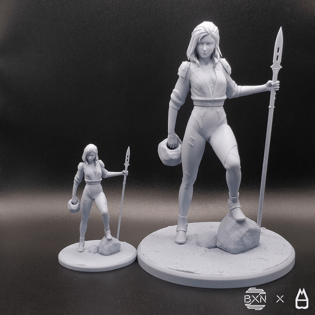 Szary - La valkyrie grise