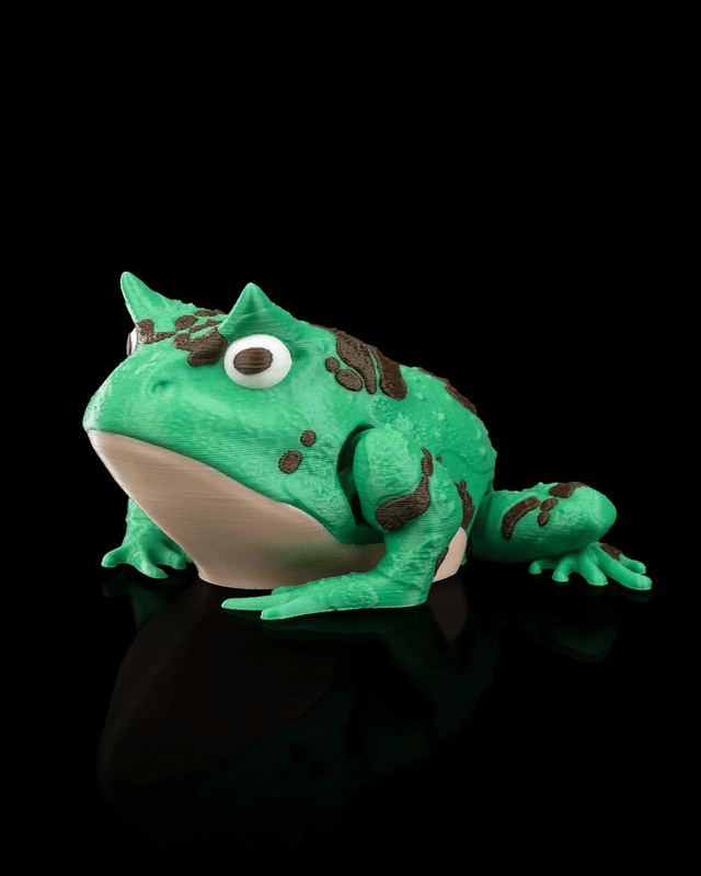 Animaux flexibles : Grenouilles amusantes