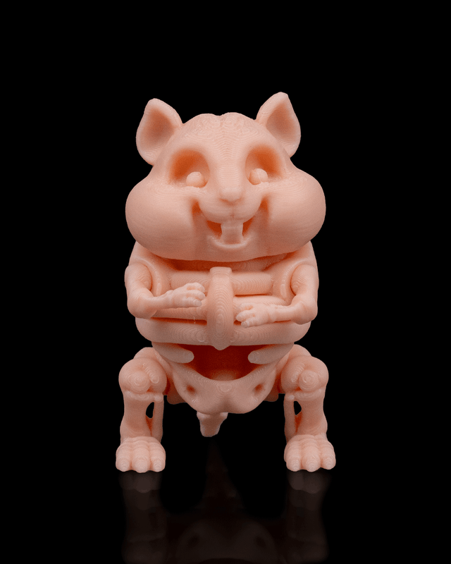 Animaux flexibles : Les petits squelettes (partie 1)