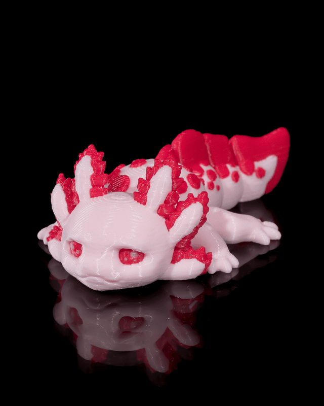 Esprit d'Axolotl (partie 1)